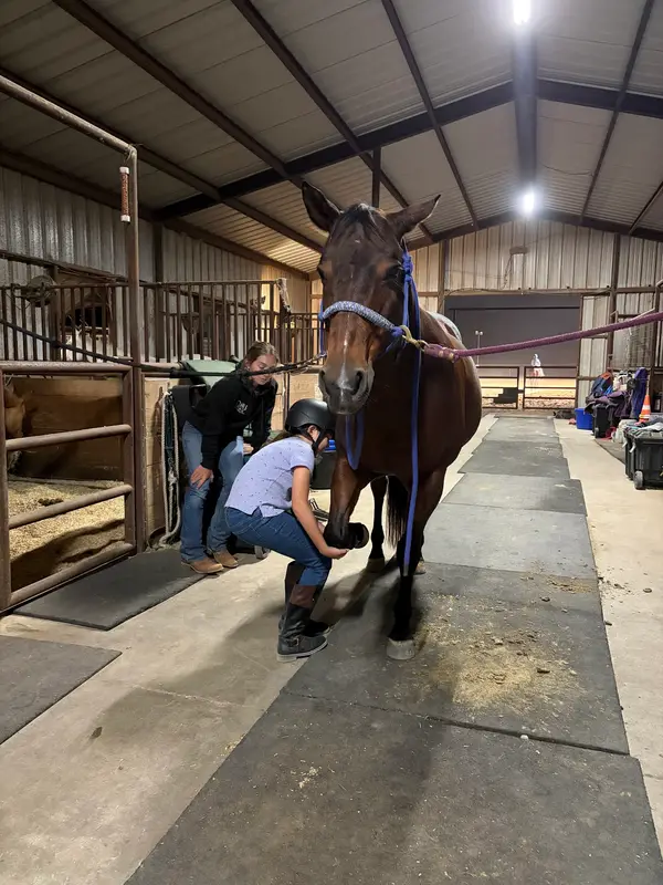 Spring Creek Stables, photo 2