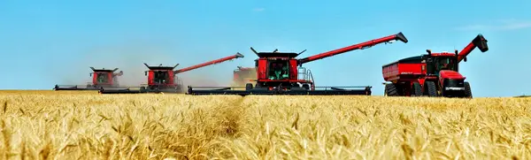 Sproule Farms, Grand Forks, ND