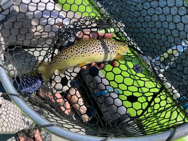 Square-Tail Anglers Guide Service
