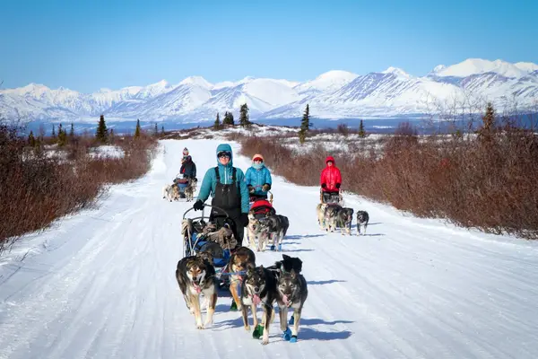 Squid Acres Kennel Dogsled Tours, Cantwell, AK