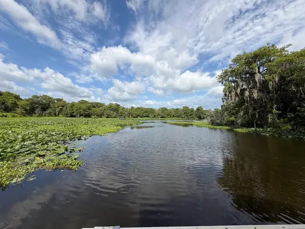 St John's River Cruises