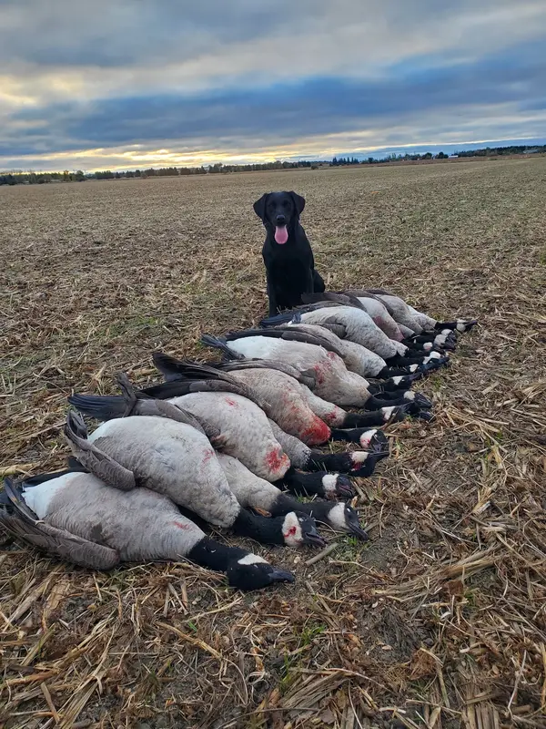 St. Lawrence Outfitters Inc., photo 1