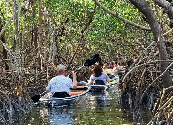 St Pete Kayaking, photo 2