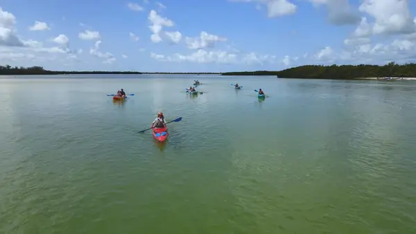 St Pete Kayaking, photo 3