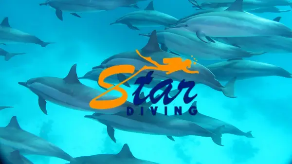 Star Diving Marsa Alam