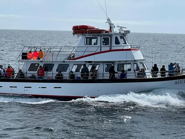 Steaker Charters, Hampton, NH