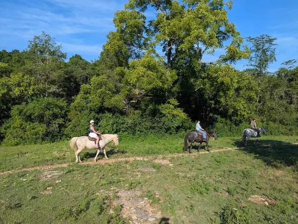 Stepping Stone Ranch