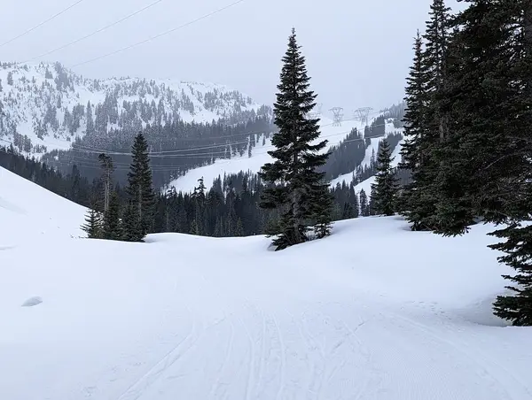 Stevens Pass Nordic Center