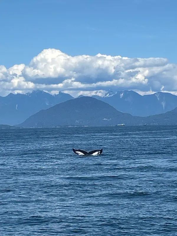 Steveston Seabreeze Adventures Vancouver, photo 2
