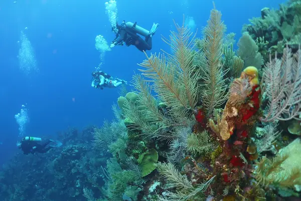 Stillwater Diving, LLC