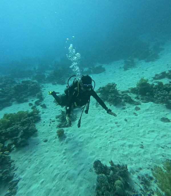 Story Divers
