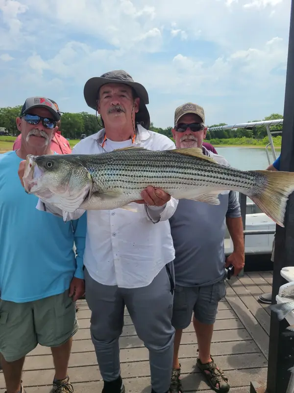 Striper Guide Lake Texoma Southern Wind Guide Service, Kingston, OK