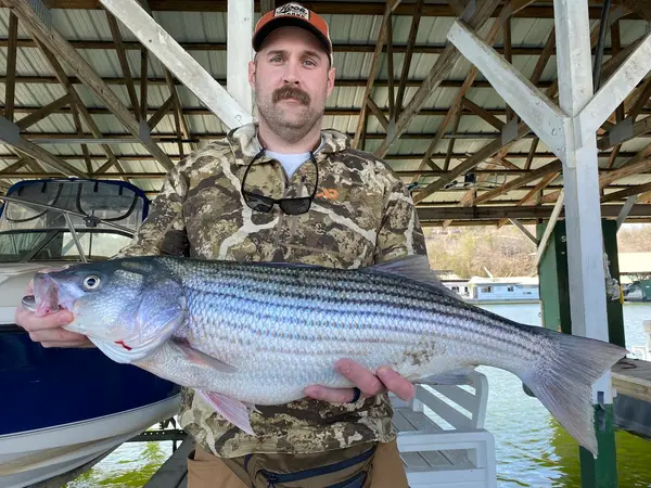Striper king Guide Service, Albany, KY