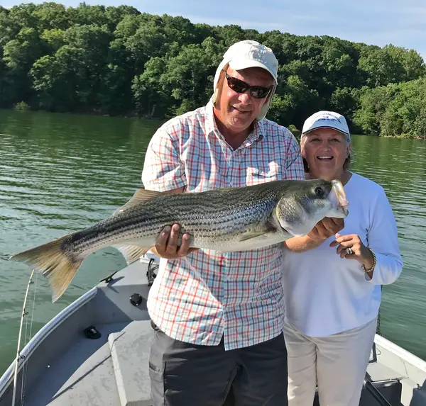 StriperFun Guide Service Cherokee Lake, Rutledge, TN
