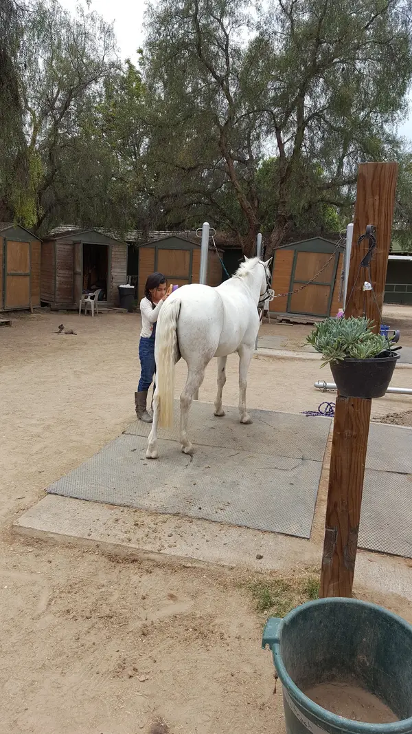 Suncoast Farms, photo 2