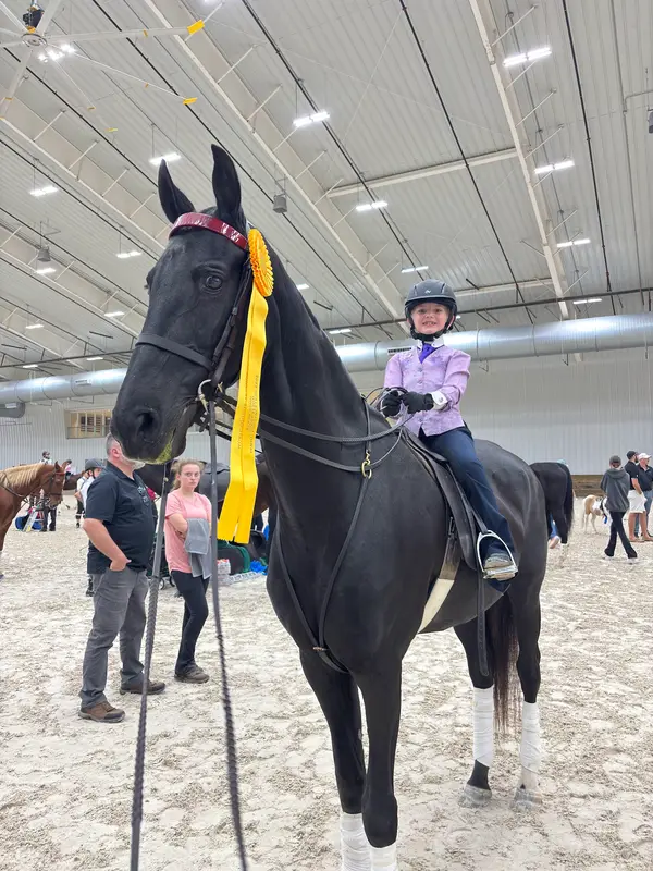 Suncoast Stables & Riding Academy, photo 1