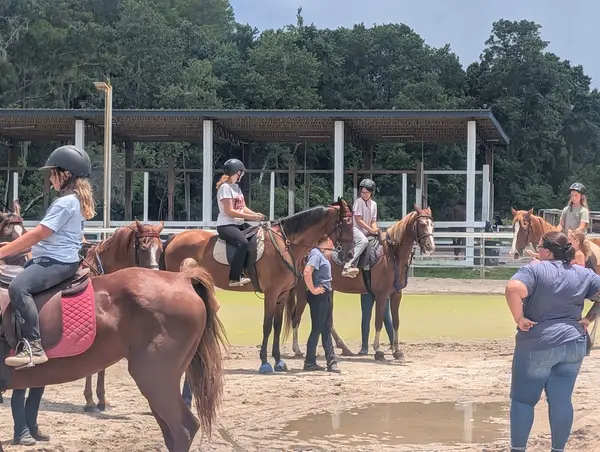 Suncoast Stables & Riding Academy, photo 2
