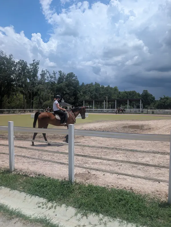 Suncoast Stables & Riding Academy, photo 3
