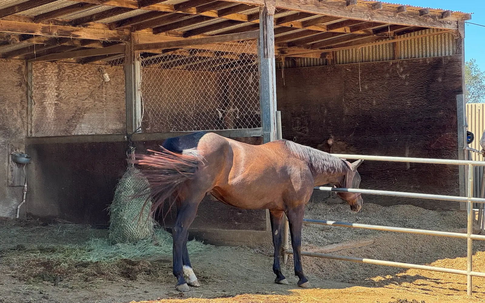 Sundance Hills Equestrian Center