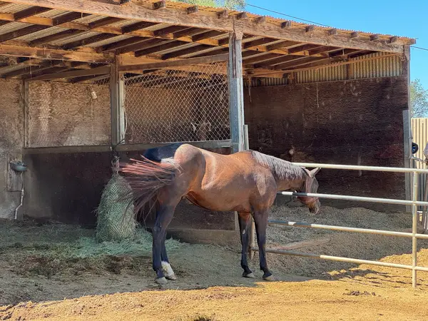 Sundance Hills Equestrian Center