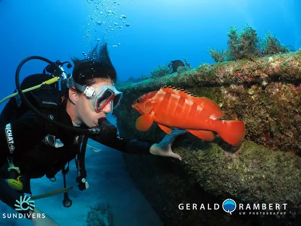 Sundivers / Diving in Mauritius