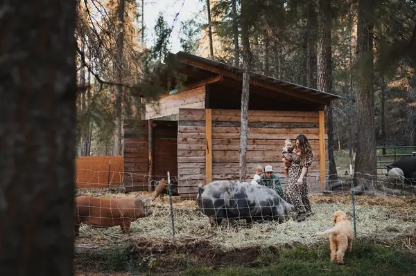 Sunleit Family Farms, St Regis, MT