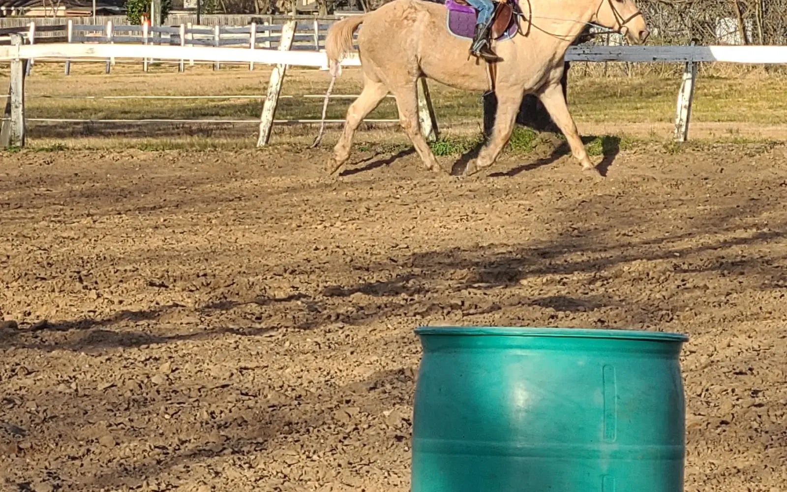 Sunrise Equestrian Center
