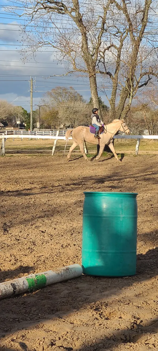 Sunrise Equestrian Center