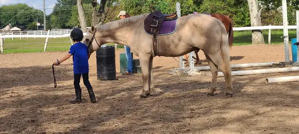 Sunrise Equestrian Center, photo 1