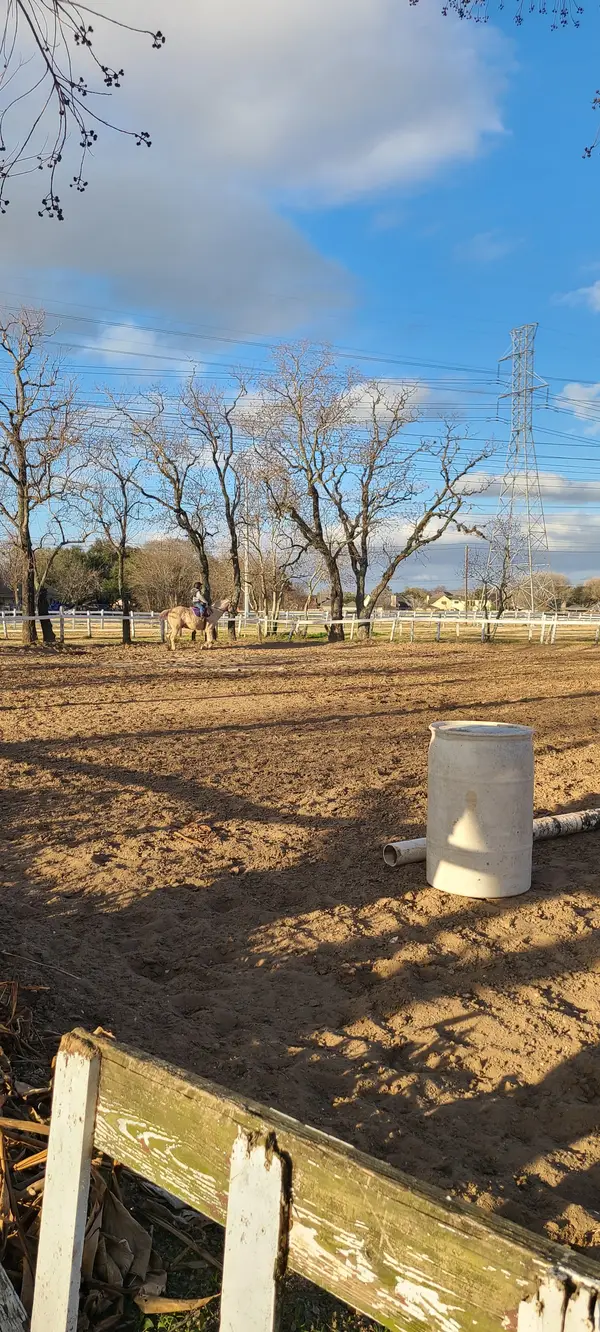 Sunrise Equestrian Center, photo 2