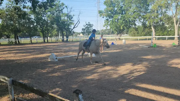 Sunrise Equestrian Center, photo 3