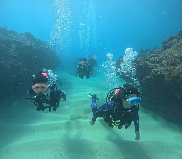Sunshine Scuba
