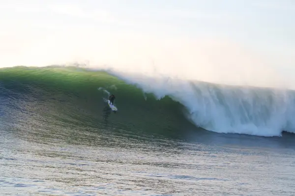 SUP With Wade, photo 3