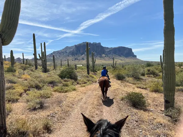 Superstitions OK Corral Stables