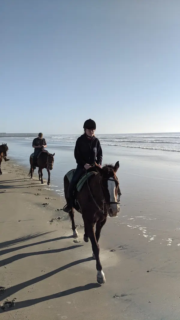 Surfside Ranch, photo 1