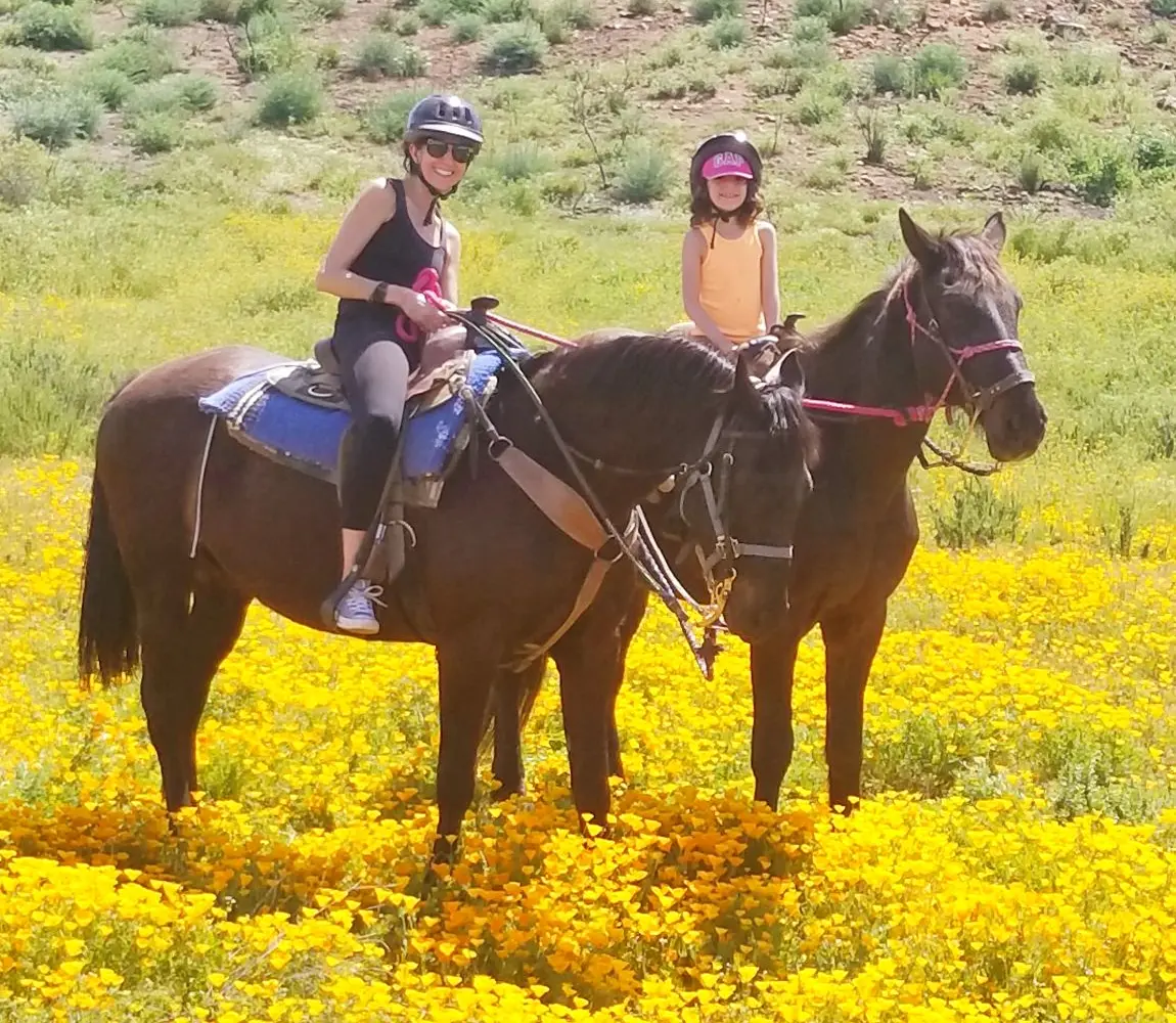 Susie Q Ranch