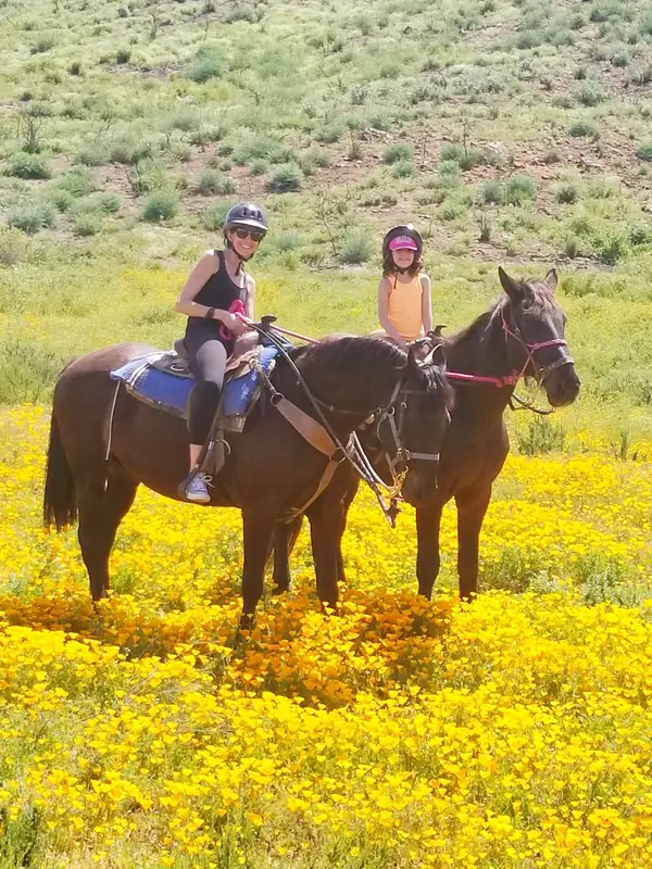 Susie Q Ranch, photo 4