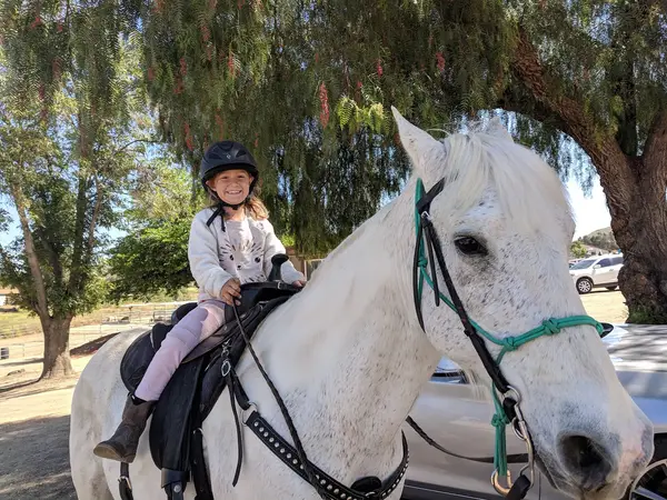 Susie Q Ranch, photo 2