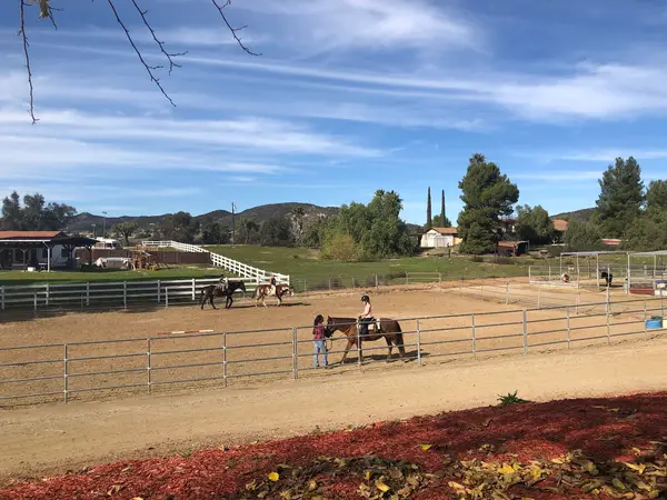 Susie Q Ranch, photo 3