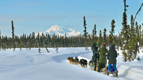 Susitna Sled Dog Adventures, Talkeetna, AK