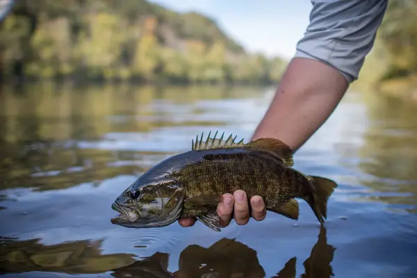 Susquehanna River Guides, Gardners, PA