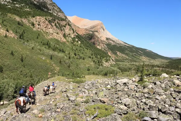 Swan Mountain Outfitters (Glacier Division), West Glacier, MT