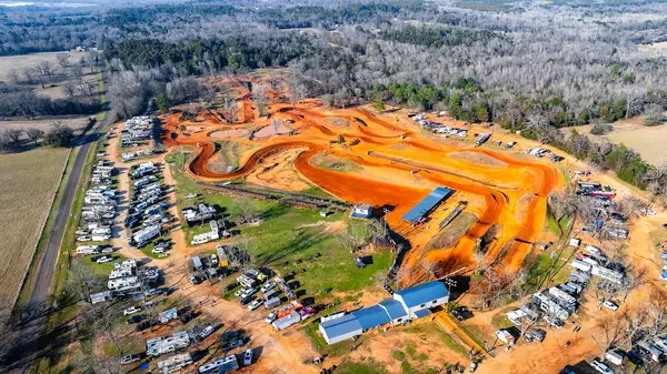 Swan MX