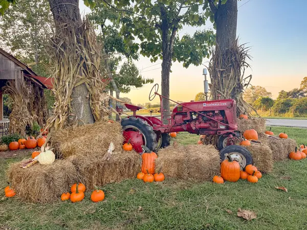 Swann Farms, Owings, MD