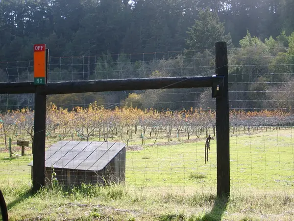 Swanton Pacific Ranch U-Pick Apples