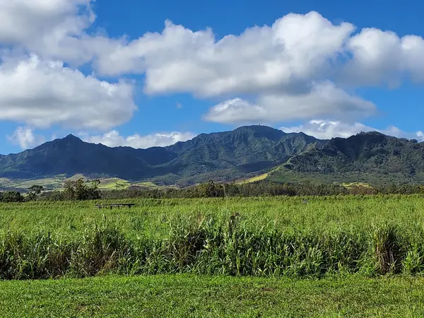 Sweet Land Farm, Waialua, HI