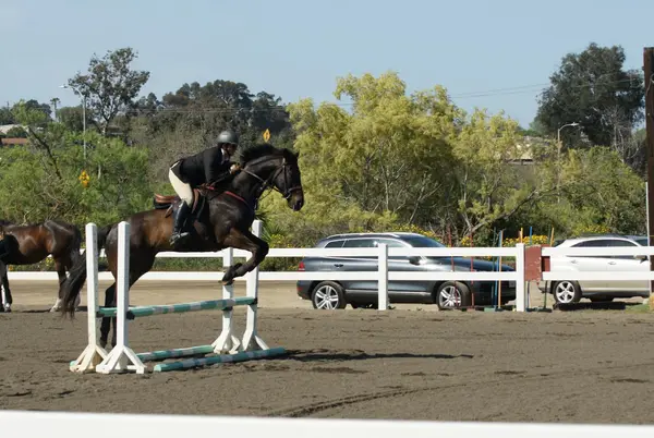 Sweetwater Farms, photo 1
