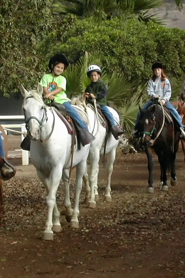 Sweetwater Farms, photo 3
