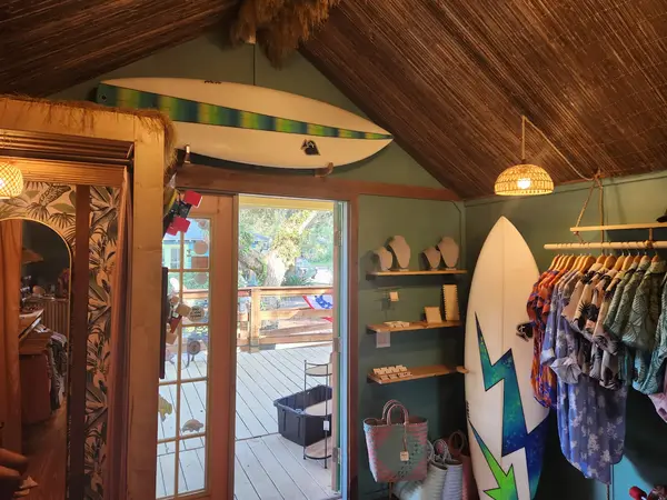 Swell Surf Club