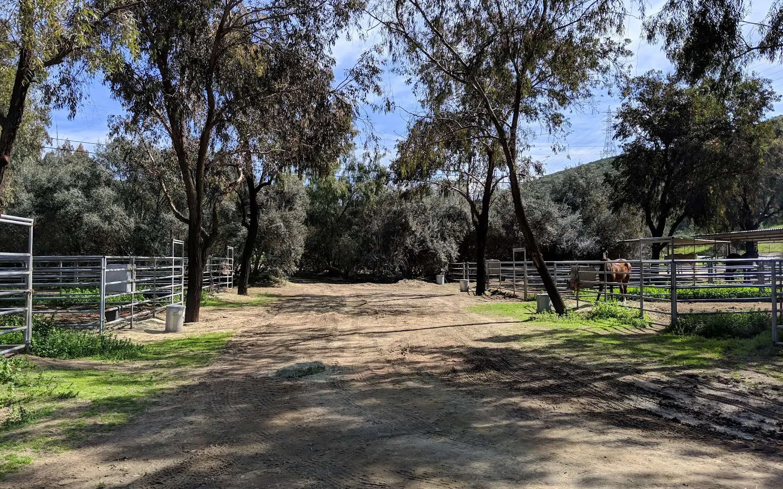 Sycamore Canyon Stables